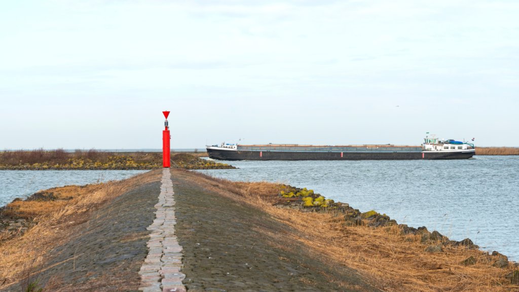 Ruta de bici por elagua en la albufera en Valencia